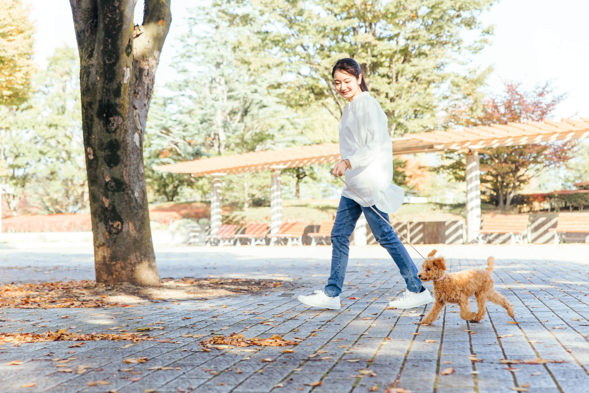 三重県南部（津、伊勢志摩、鳥羽など）で愛犬と入店できるドッグカフェ6選